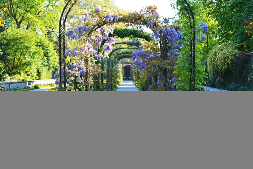 Any Type Excavations featured image